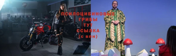 ALPHA PVP Медногорск