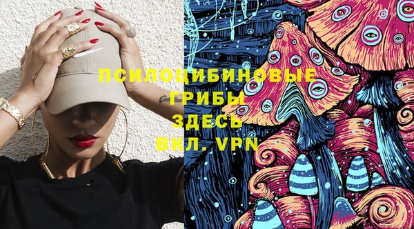 экстази Медвежьегорск